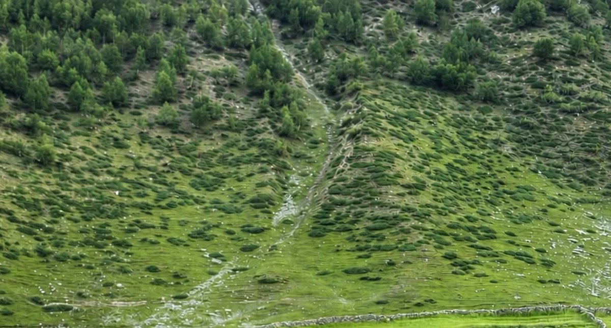 RAAH-E-KHAIR team overlooking a valley in Gilgit-Baltistan